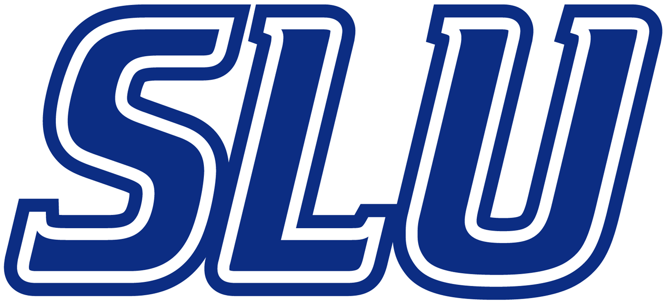 Saint Louis Billikens 2002-Pres Wordmark Logo v2 diy fabric transfers
